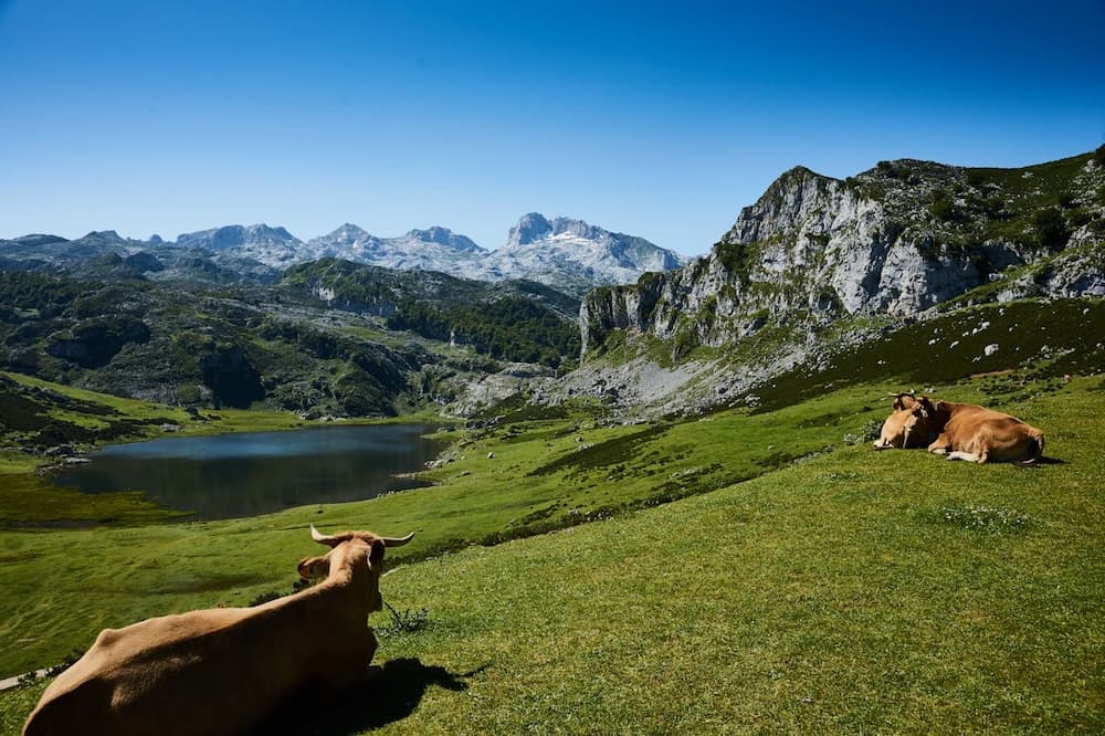 Národní park Los Picos de Europa