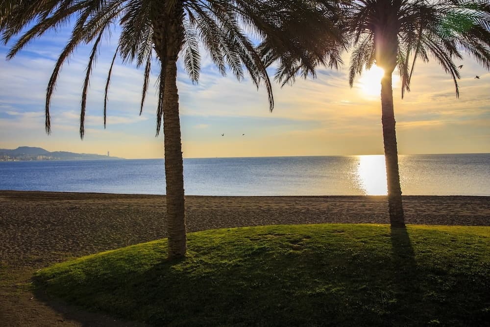 Playa de Las Acacias
